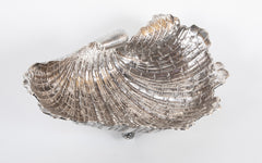 Lavish Silver Clam Shell Bowl by Luiz & David Ferreira