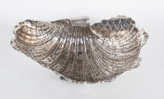 Lavish Silver Clam Shell Bowl by Luiz & David Ferreira