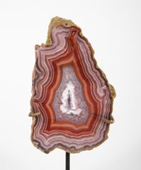 A Split Laguna Agate Geode Now on Two Modern Stands