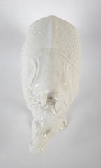 Rhino Clara Nymphenburg Frankenthaler Model in White Glazed Porcelain
