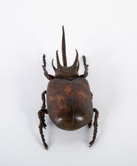 A Japanese Patinated Bronze Rhinoceros Beetle with Opening Back