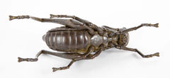 Mid 20th Century Japanese Bronze Grasshopper