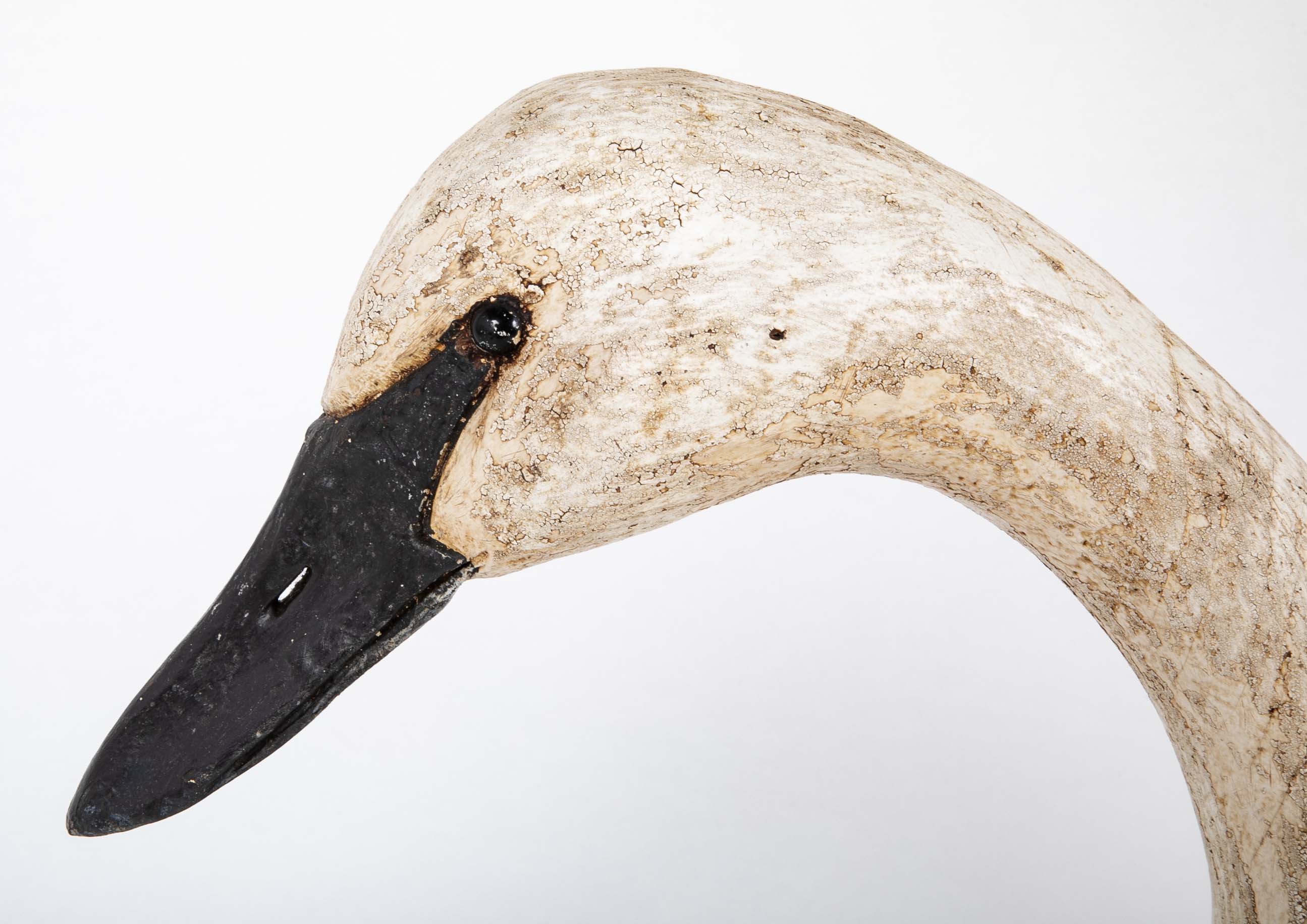 Carved and Painted Swan Decoy by Thomas Langan