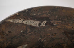 Round Fossilized Top Three Legged Pedestal Table Base in Black Lacquered Metal