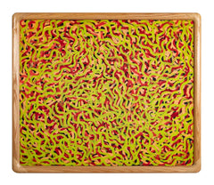 "The Wild Bush Onion Dreaming" by Australian Aboriginal Artist Louise Numina