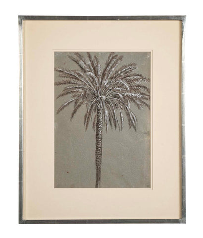 Pen Drawing of Date Palm