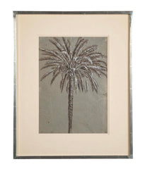 Pen Drawing of Date Palm