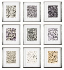 Julian Lethbridge 9 Color Relief Prints for "What the End is For"    Priced Individually at $990  EACH