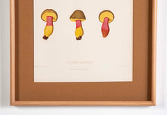 10 Chromolithograph Plates of Fungi by Swedish Botanist Elias Magnus Fries - Priced Individually at $950 EACH