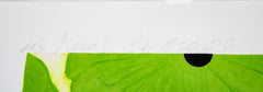"Six Greens" Screenprint on Paper by Donald Sultan