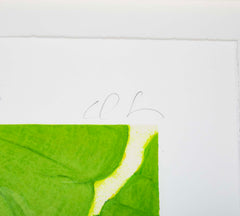 "Six Greens" Screenprint on Paper by Donald Sultan