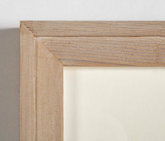 Thomas Moore Print from "The Ferns of Great Britain and Ireland" in Custom Cedar Frame