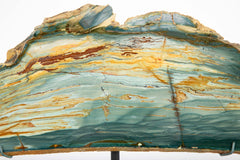 A Jasper Slab Fossil on Custom Stand