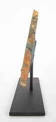 A Jasper Slab Fossil on Custom Stand