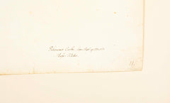Offset Lithograph of "Comorant, Juvenile", PL 11 from the "The  Great Bird Book" by Olof Rudbeck The Younger