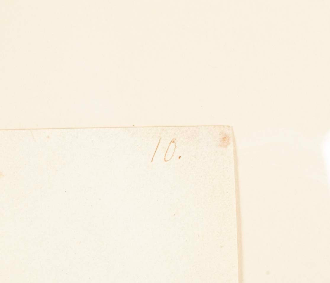 Offset Lithograph of "Comorant, Juvenile", PL 11 from the "The  Great Bird Book" by Olof Rudbeck The Younger
