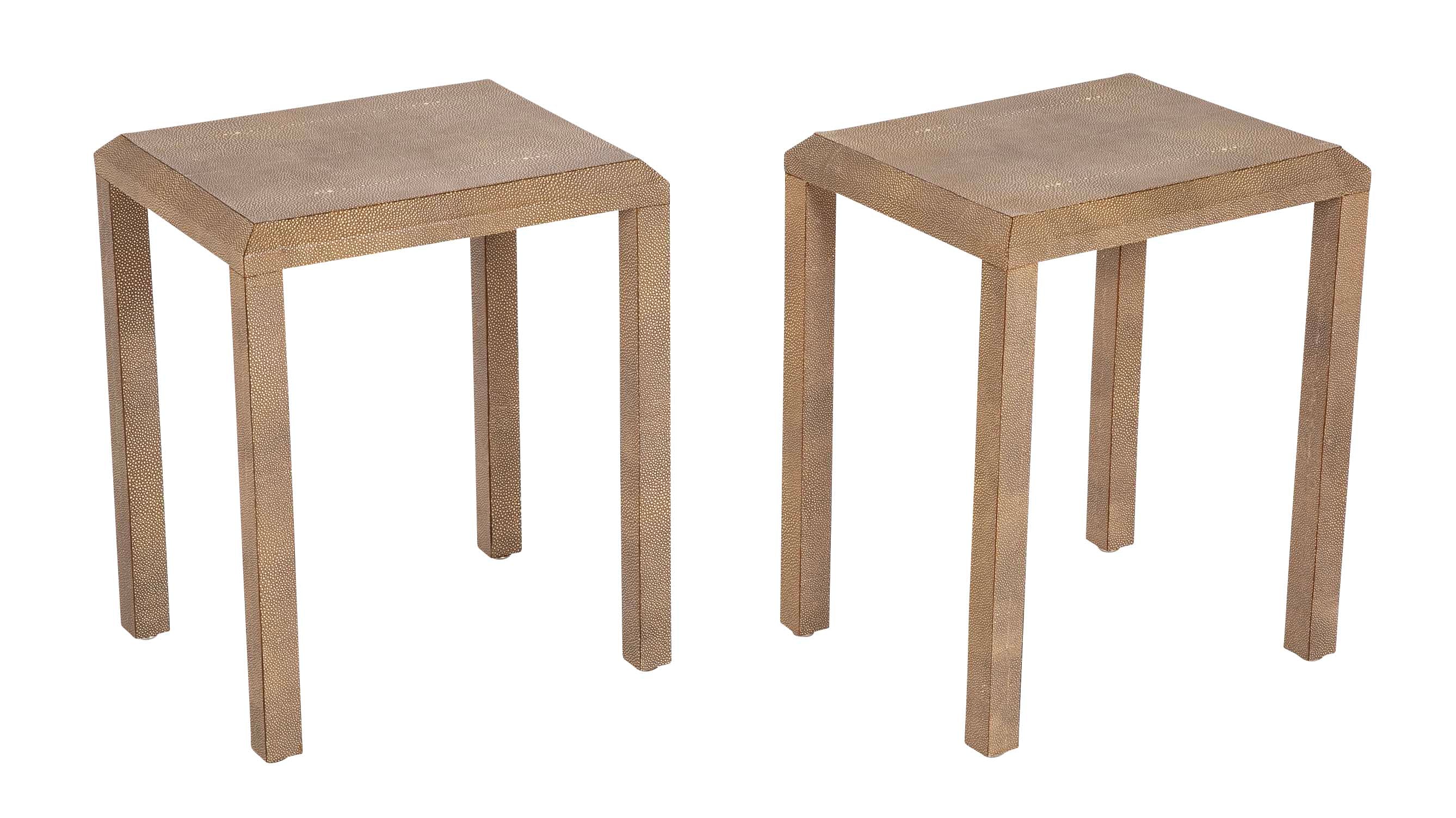 20th Century Pair of Side/End Tables Covered in Shagreen