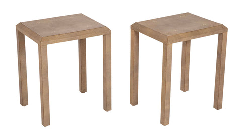 20th Century Pair of Side/End Tables Covered in Shagreen