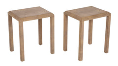 20th Century Pair of Side/End Tables Covered in Shagreen