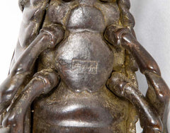 Mid 20th Century Japanese Bronze Grasshopper