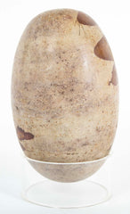Large Shiva Lingam Stone from Narmada River in India