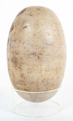 Large Shiva Lingam Stone from Narmada River in India