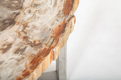 Beautiful Natural Palette Petrified Wood Coffee Table