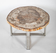 Beautiful Natural Palette Petrified Wood Coffee Table