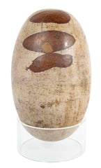 Large Shiva Lingam Stone from Narmada River in India