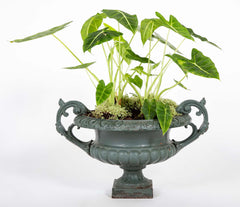 Pair of Late 19th Century Cast Iron Urns having Old Green Paint
