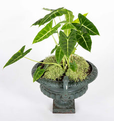 Pair of Late 19th Century Cast Iron Urns having Old Green Paint