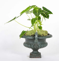Pair of Late 19th Century Cast Iron Urns having Old Green Paint