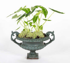 Pair of Late 19th Century Cast Iron Urns having Old Green Paint