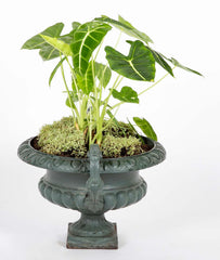 Pair of Late 19th Century Cast Iron Urns having Old Green Paint