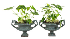 Pair of Late 19th Century Cast Iron Urns having Old Green Paint