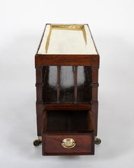 Unusual Regency Spindle Form Canterbury with Brass Tray Top