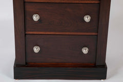 A 19th Century Brazilian Rosewood Six Drawer Wellington High Cabinet