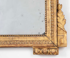 Louis XVI Period Carved & Gilded Mirror with Rare Birdcage Motif