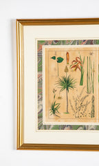 Pair 19th Century German Hand Colored Botanical Prints in Gilt Wood Frames