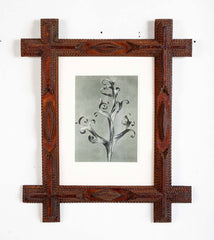 Pair of Tramp Art Frames with Botanicals By Karl Blossfeldt