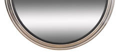 Regency Style Large Scale Brushed Steel Frame Convex Mirror