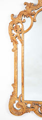 French Rococo Style Carved Wood Mirror with Wonderful Gesso Surface
