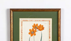 Set of 4 Hand Colored Botanical Prints by William Curtis