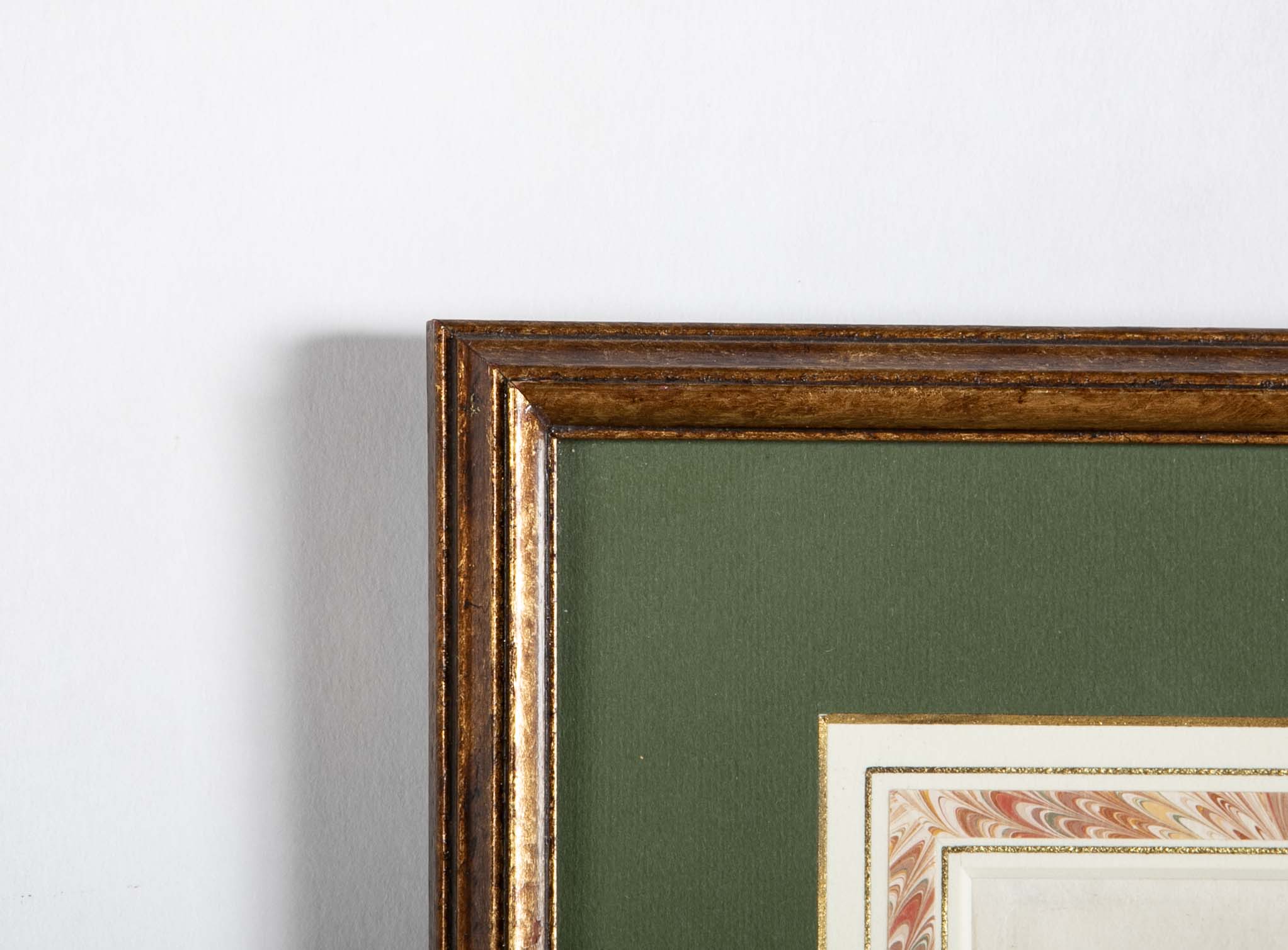 Set of 4 Hand Colored Botanical Prints by William Curtis