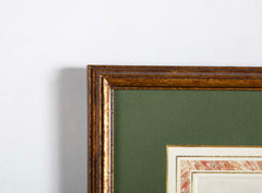 Set of 4 Hand Colored Botanical Prints by William Curtis