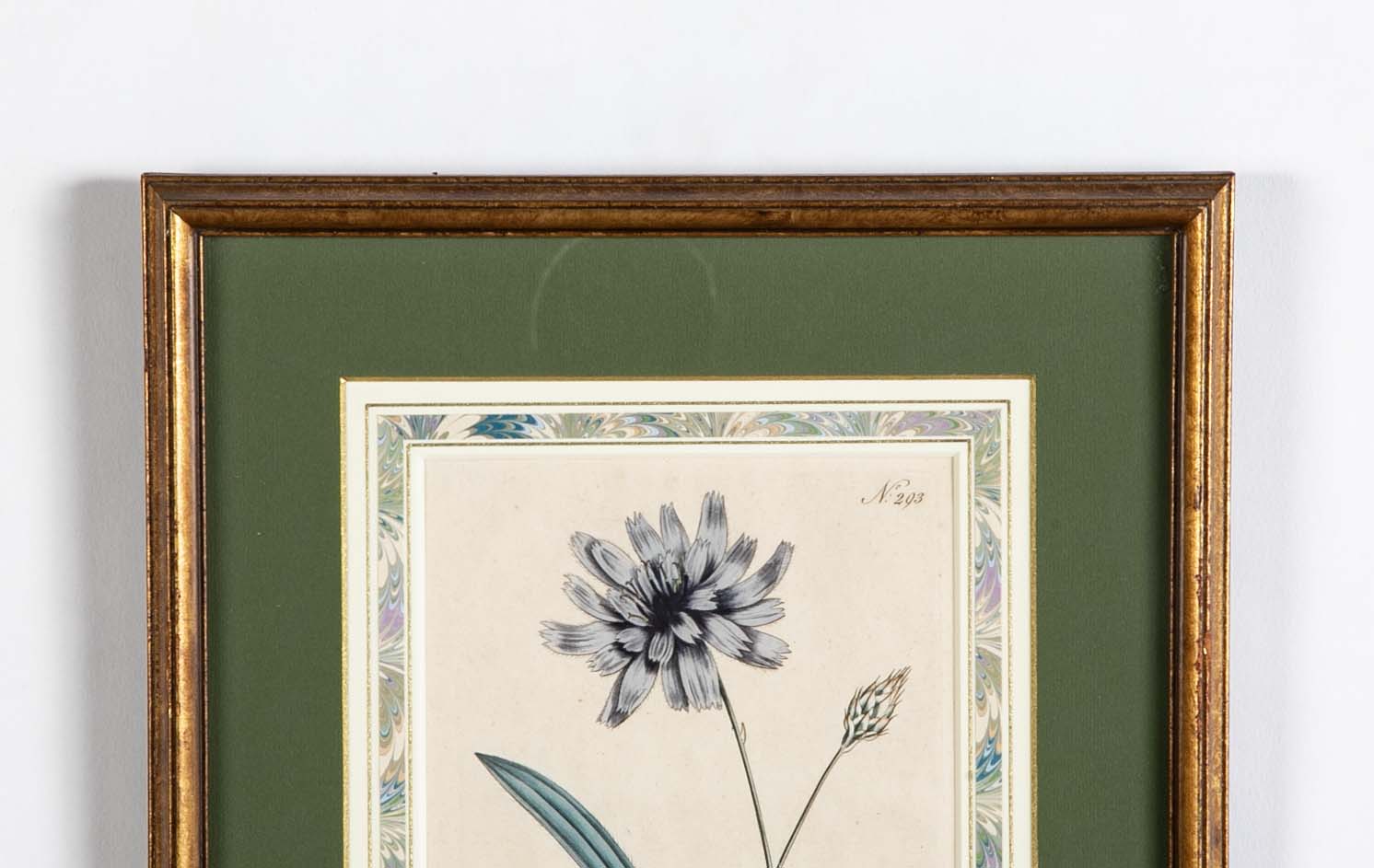 Set of 4 Hand Colored Botanical Prints by William Curtis