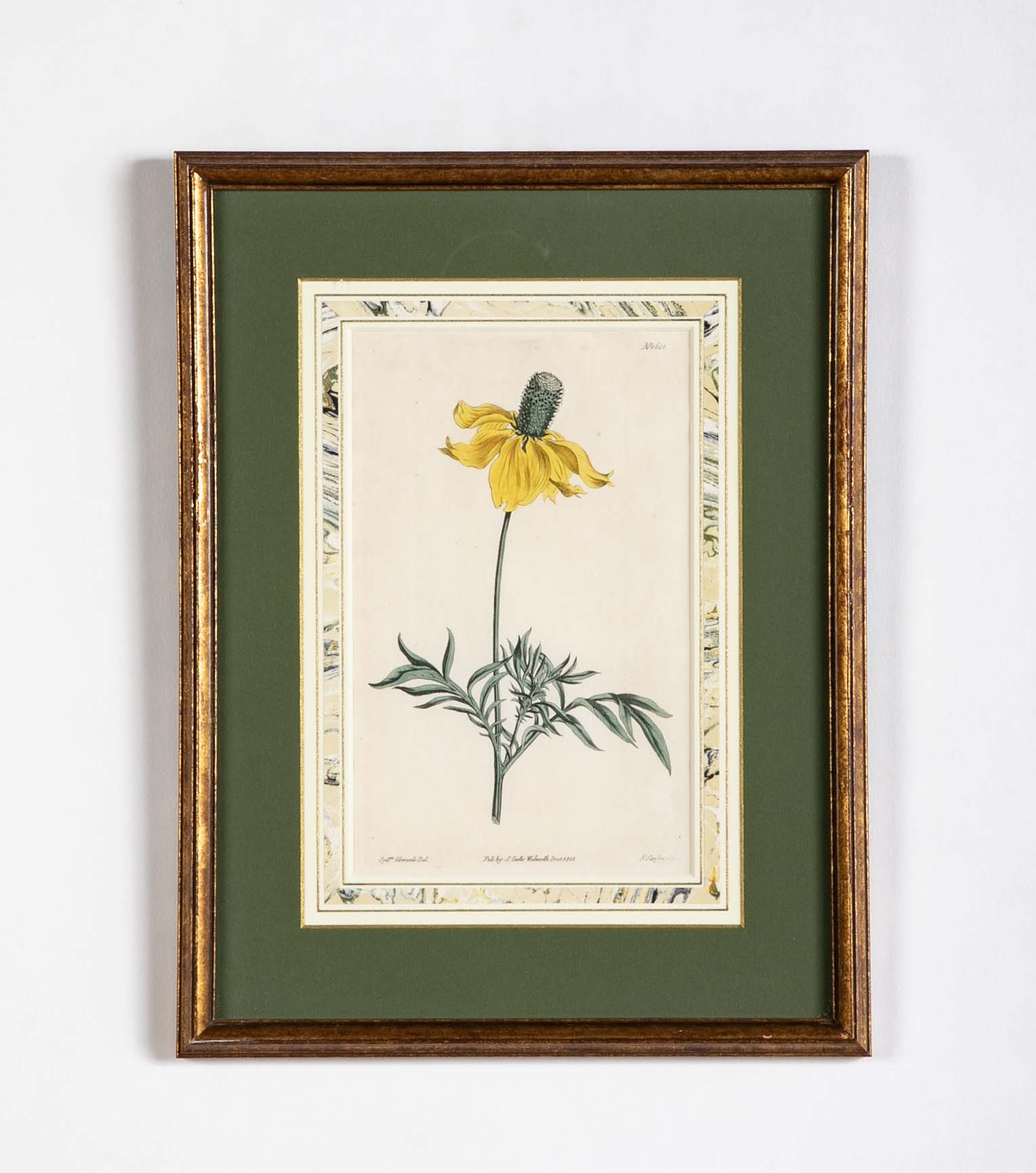 Set of 4 Hand Colored Botanical Prints by William Curtis