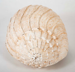 Giant Wood Carved Painted Seashell