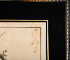 Set of Six 18th Century Hand Colored Prints of Horses by Baron D'Eisenberg