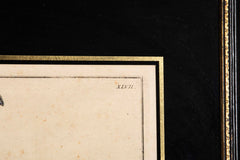Set of Six 18th Century Hand Colored Prints of Horses by Baron D'Eisenberg